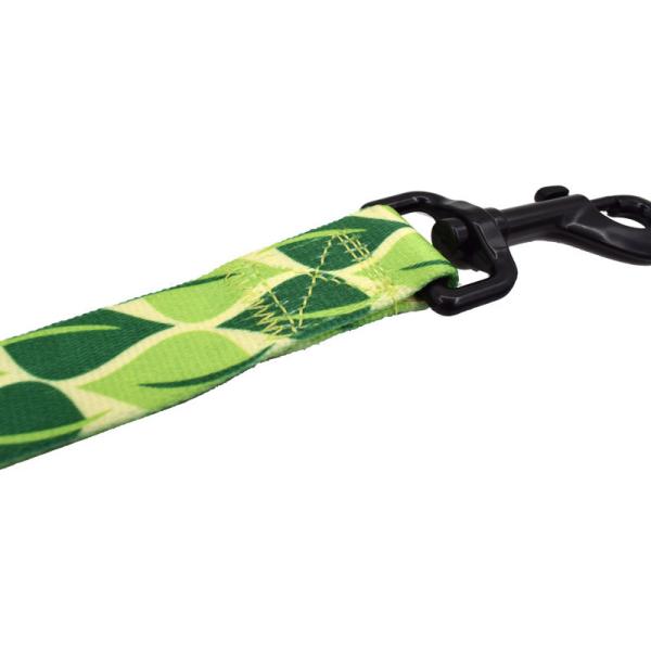 Green / Red Color Heavy Duty Retractable Dog Leash Durable Size 2.5 X 120cm