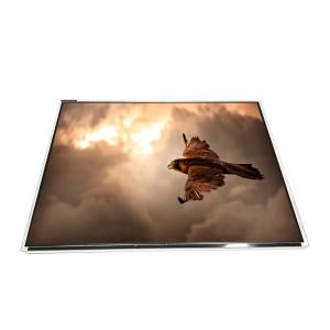 Wholesale LTM15C166S 15.0 inch LVDS TFT LCD Display Screen Panel from china suppliers