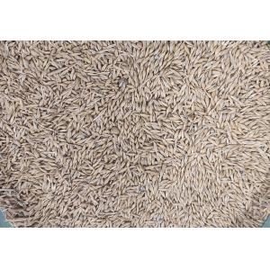 WENYAO CCD LED Lights Grain Color Sorter Machine 2 - 6T/H