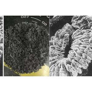 Wholesale +100 Mesh High Carbon Expanded Graphite from china suppliers