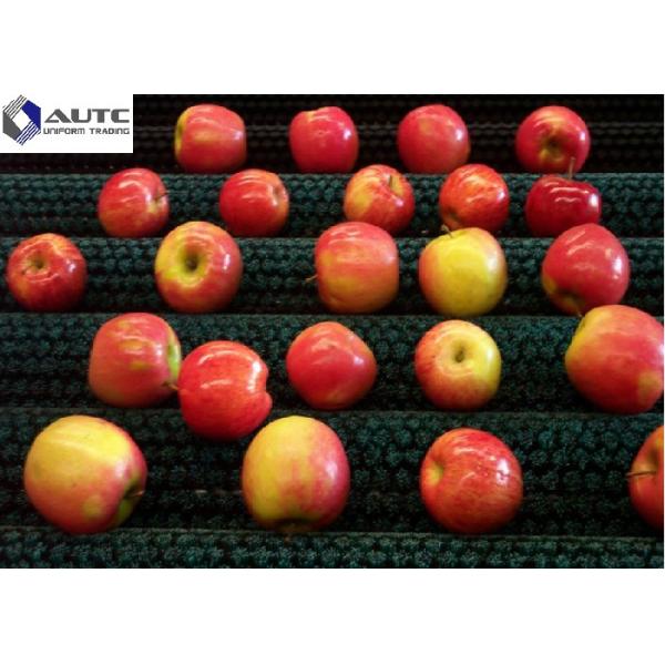 High Efficiency Cylindrical Roller For Fruit&Vegetable Cleaning Brush Galvanized Metal Yellow Green