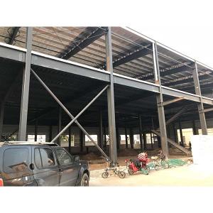 China Manufacturer Big Steel Metal Structure For Feather Factory