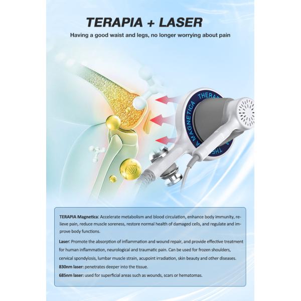 PEMF Pulsed Electromagnetic Field Therapy Machine For Chronic Pain Relief