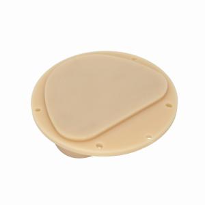 Amann Girrbach PMMA Discs Dental D Shape Block Resin Lab Material