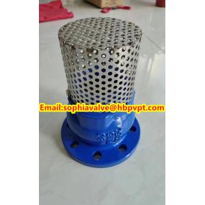 2024 hot sale flanged foot valve material GGG40