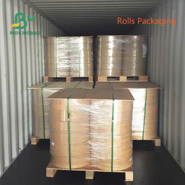 170g 190g 210g Watertight PE Coating Cup Paper 550mm Roll FDA Approved 170g 190g 210g Watertight PE Coating Cup Paper 550mm Roll FDA Approved