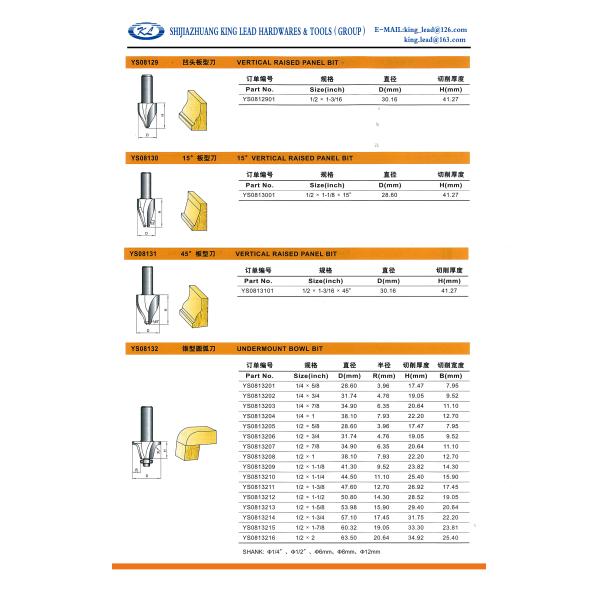 Quality VERTICAL RAISED PANEL BIT for sale