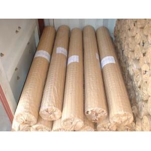 1" X 2" PVC Coated Hot Galvanized Welded Iron Wire Mesh for Fencing