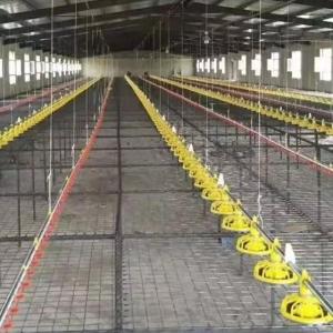 1.5kW 200L Poultry Automatic Pan Feeding System