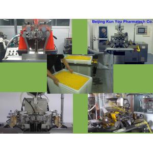 Ss316 Automatic Vgel Encapsulation Machine Encapsulation Filling Machine