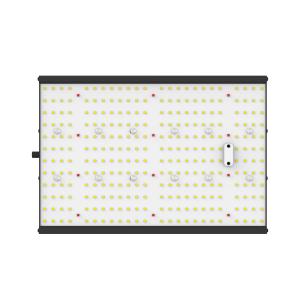 100W Dimmable Black Aluminum LED Grow Light With 288 White LEDs For Full