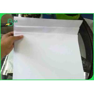 Eco Friendily Plain Glossy Coated Paper / Offset Printing Paper