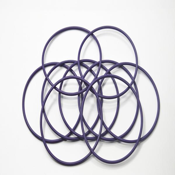 Quality Sealing Usage Custom Neoprene Rubber O-Ring Seals for Superior Sealing Performance for sale