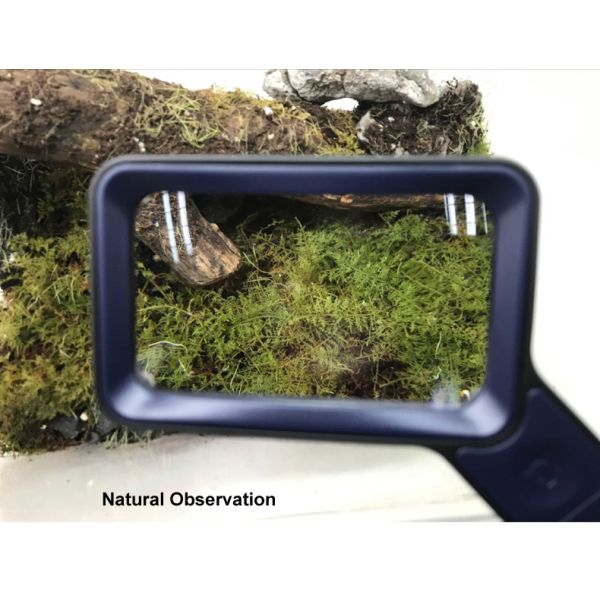 Handheld Rectangular Magnifier Touch Mode Switch 6LED Light with USB Charging Cable 3-speed Light Magnifier