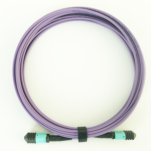 Quality 12 Cores MPO Patch Cable OM4 50/125μM 3.0mm LSZH Purple For Data Center Cabling for sale