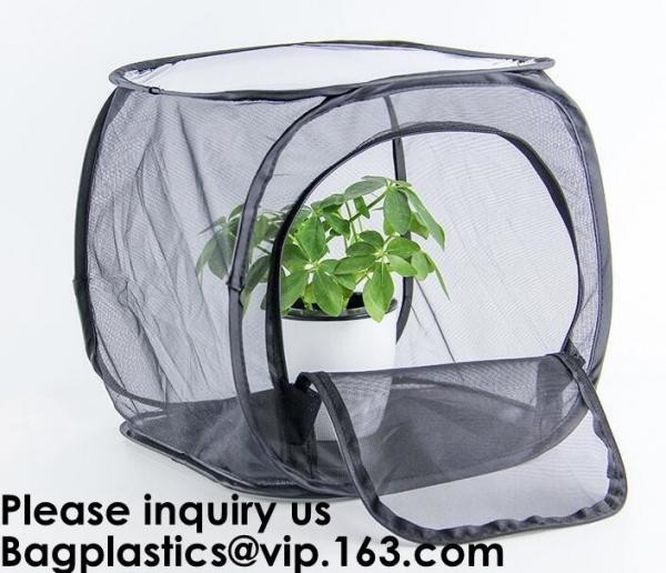 Quality Agricultural Greenhouses for Tomato Planting,Pop-Up Tomato Plant Protector Serves as a Mini Greenhouse to Accelerate Gro for sale