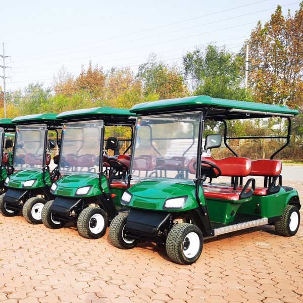 Low Speed Golf Cart Vehicle 4 Seater Lithium Bettery Free Shipping 4 Wheel Sell
