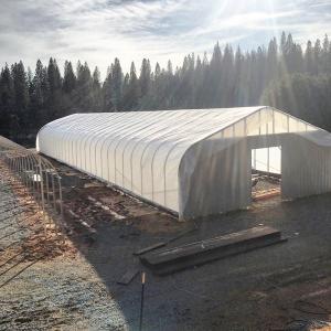 China Large Tunnel Blackout Polyhouse Light Deprivation Agricultural Greenhouse on sale