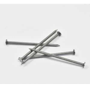 Hot Dipped Galvanized Common Nails With Ring Shank