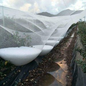 Anti Hail Net Agriculture Mesh HDPE Apple Tree Garden Hail Proof Netting Polyethylene Cheap Price Hail Guard Net Car Hail Protection Net Anti-Insect Hail Netting for Agricultural Apple Trees