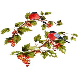 Scratchproof Ecosolvent Inkjet Receptive Coating For Cotton Fabrics