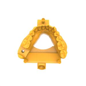 Biocompatible Dental Resin Safe Intraoral Application With High Compatibility