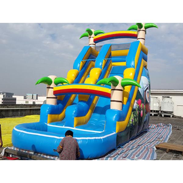 Kids Inflatable Water Slide