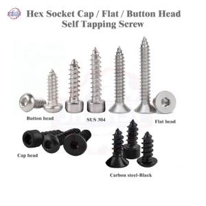 100% Inspection Stainless Steel 304 Self-Tapping Screws for Custom Customization