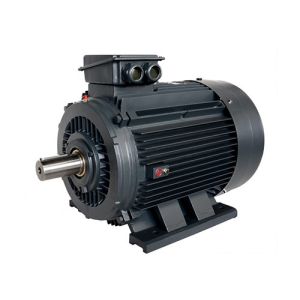 Wholesale High Efficiency Asynchronous 3 Phase Motor 380V/50Hz 60Hz Energy Saving from china suppliers