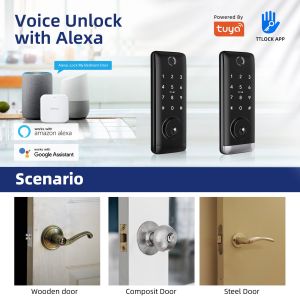 Aluminum Alloy Electronic Door Locks Intelligent WiFi Deadbolt Lock