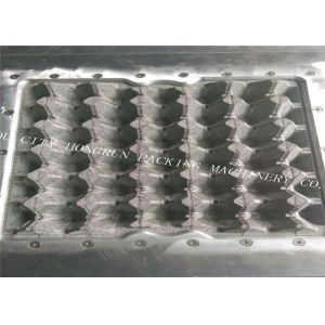 High Capacity Paper Egg Tray Forming Machine Rotary Type HR-8000