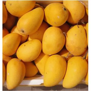 Small Scale Fresh Juice Mango Processing Plant 2t/H