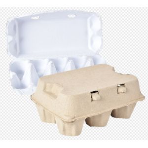 Waste Paper Egg Tray Machine Fully Automatic Single Drying Layer