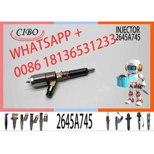 Diesel Fuel Injector 2645A745 10R-7951 2645A717 10R-7675 2645A743 317-2300for