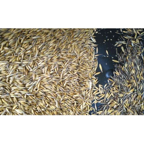 Automatic 128 Channels 2 Chutes Grain Color Sorter For Wheat Barley Rye