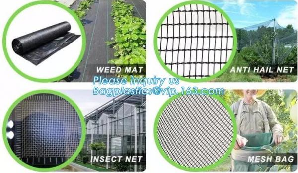 WATER PROOF UV COATING REINFORCED PE HYDROPONIC GREENHOUSE, PE WOVEN OUTER DOOR, Polytunnel Mini Tunnels Walk in Greenho