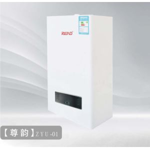 China Natural Gas Wall Hung Gas Boiler Liquefied Petroleum Combi Boiler Mains Gas on sale