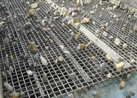 Rectangle Stainless Steel Crimped Wire Mesh , Fine Mesh Hardware Cloth