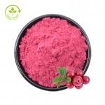 China Organic 4:1 Cranberry Extract Powder Anthocyanidin 25% Cranberry Fruit Extract/ Vaccinium Macrocarpon for sale