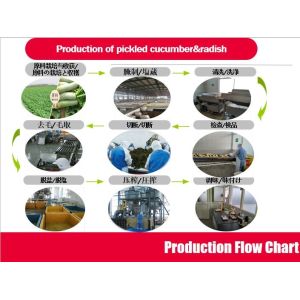 Crisp Taste Pickled Cucumber Red Shibazuke Japanese Style