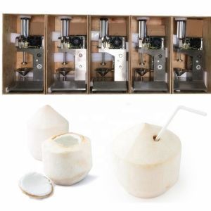 0.8kw Coconut Shell Grinding Machine / Electric Coconut Grating Machine