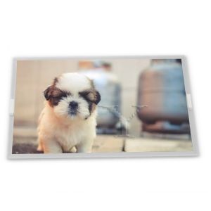 LQ150X1LGN2A 15" inch 1024*768 LCD Panel Display