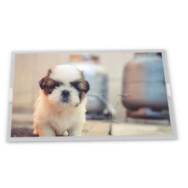 LM238WF2-SSF2 23.8 TFT LCD Display Modules supplier lcd panel supplier lcd panel