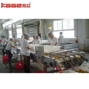 Wholesale Electric Driven Type Peach Canned Food Production Line 0-200 Cans Capacity from china suppliers