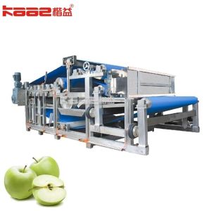 0.5-20MT/H Fruit Apple Concentrated Juice Production Line For Beverage