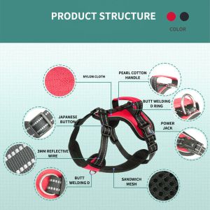 Personalized Reflective Explosion-Proof Leash for Medium and Large Dogs at