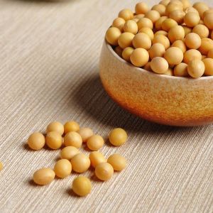 1.5D X 51mm Natural White Soybean Fiber For Textile Spinning / Filling