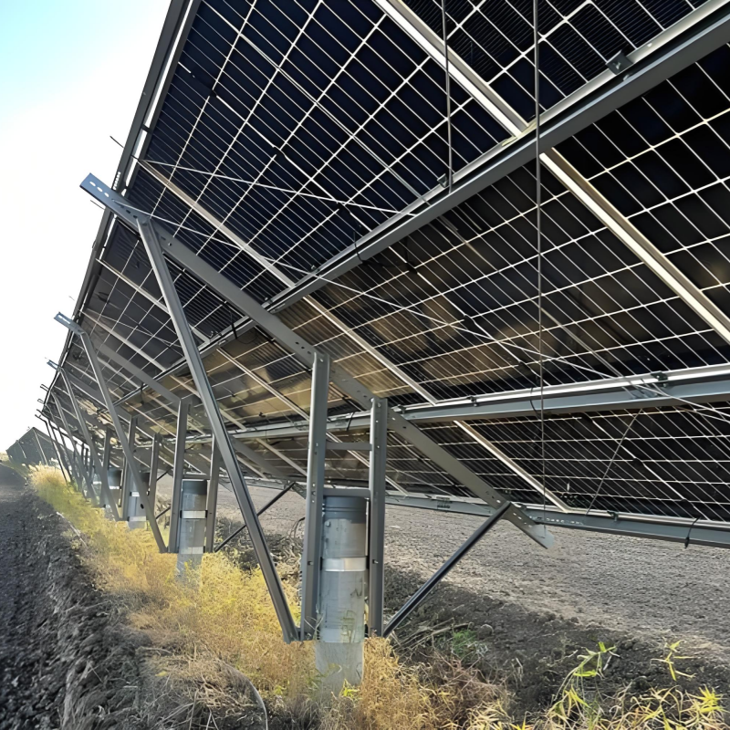 Customizable Solar Ground Mounting System with Unique Design Easy and Fast