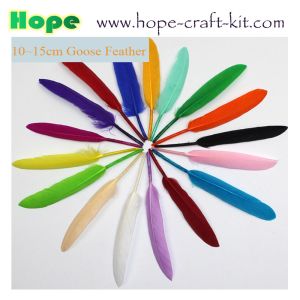 5~20mm ostrich feathers, goose feathers, turkey feathers, chicken feathers,