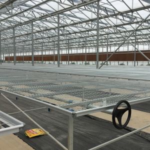 Large Multi-Span Greenhouse with Modern Aluminium Structure and Hydroponics